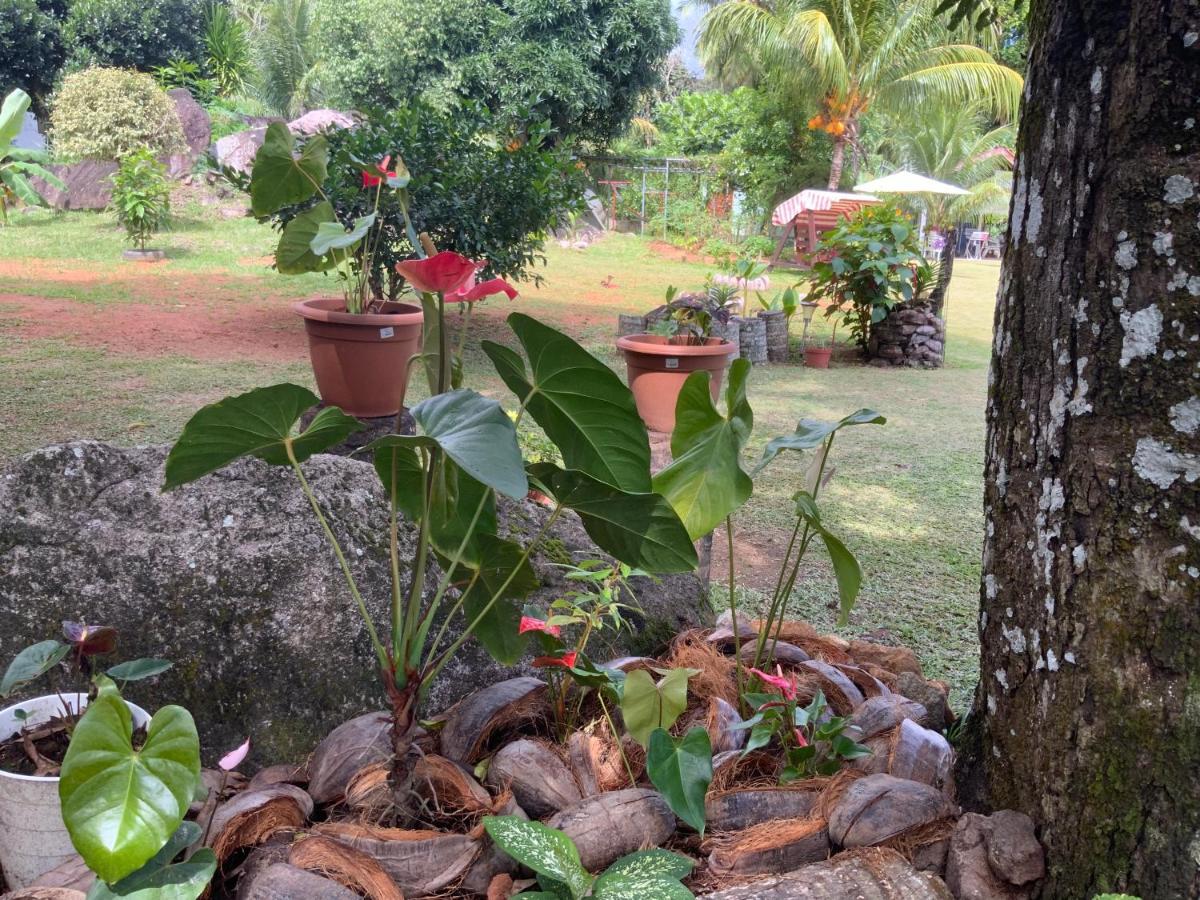 The Orchard Holiday Home Grand Anse  Exterior photo