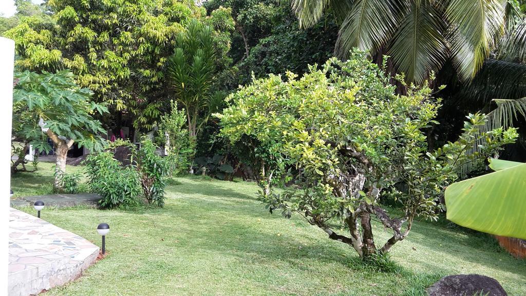 The Orchard Holiday Home Grand Anse  Exterior photo