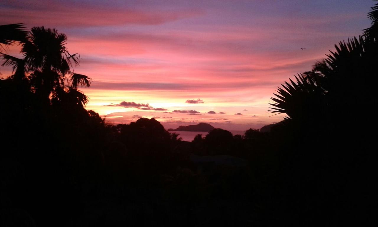 The Orchard Holiday Home Grand Anse  Exterior photo